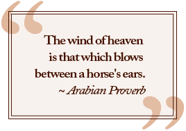 The wind of heaven is that which blows between a horse's ears.- Arabian Proverb